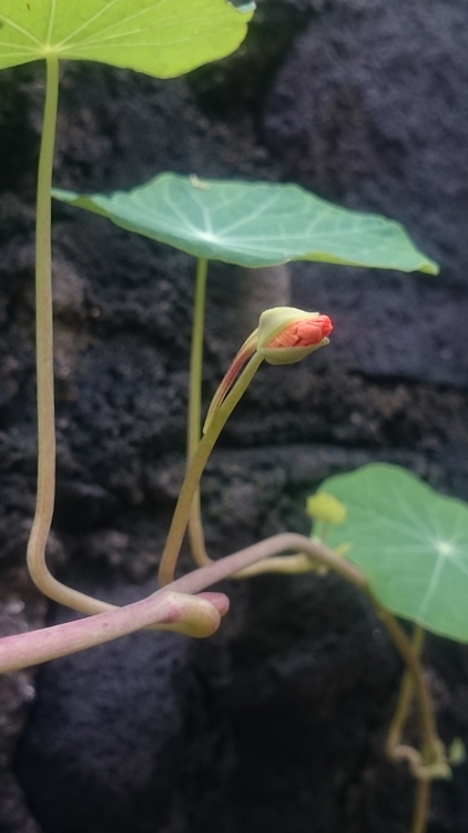 FOTOGRAFÍA [422 x 750 px]