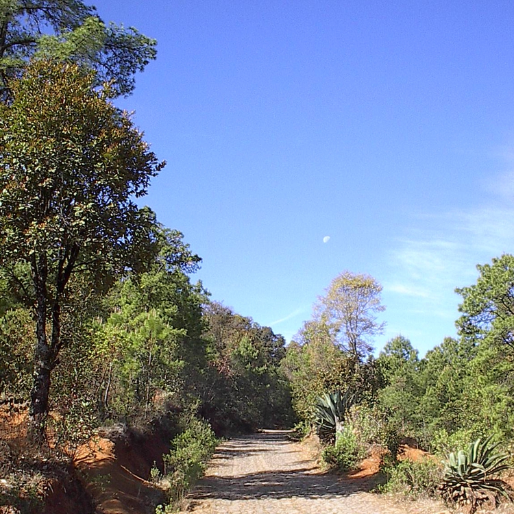 FOTOGRAFÍA 1 [750 x 750 px]