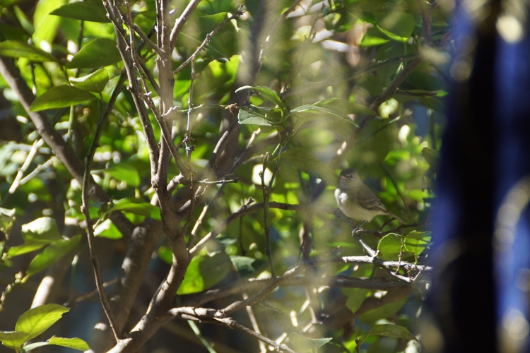 FOTOGRAFÍA [750 x 500 px]